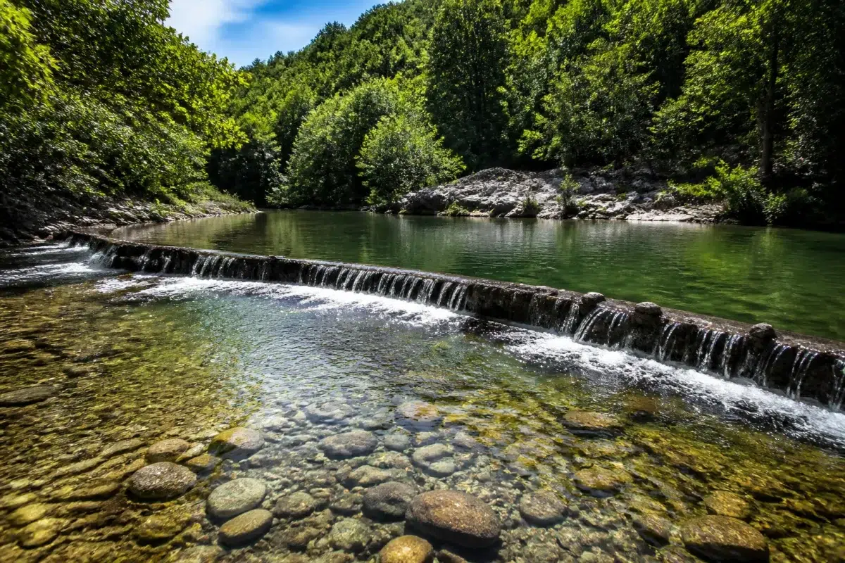 Bassin fluvial isolé par barrière artificielle, poissons locaux protégés