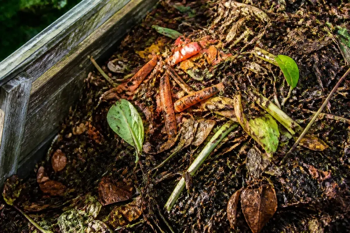 Compost de jardin avec feuilles mortes et matières organiques mélangées