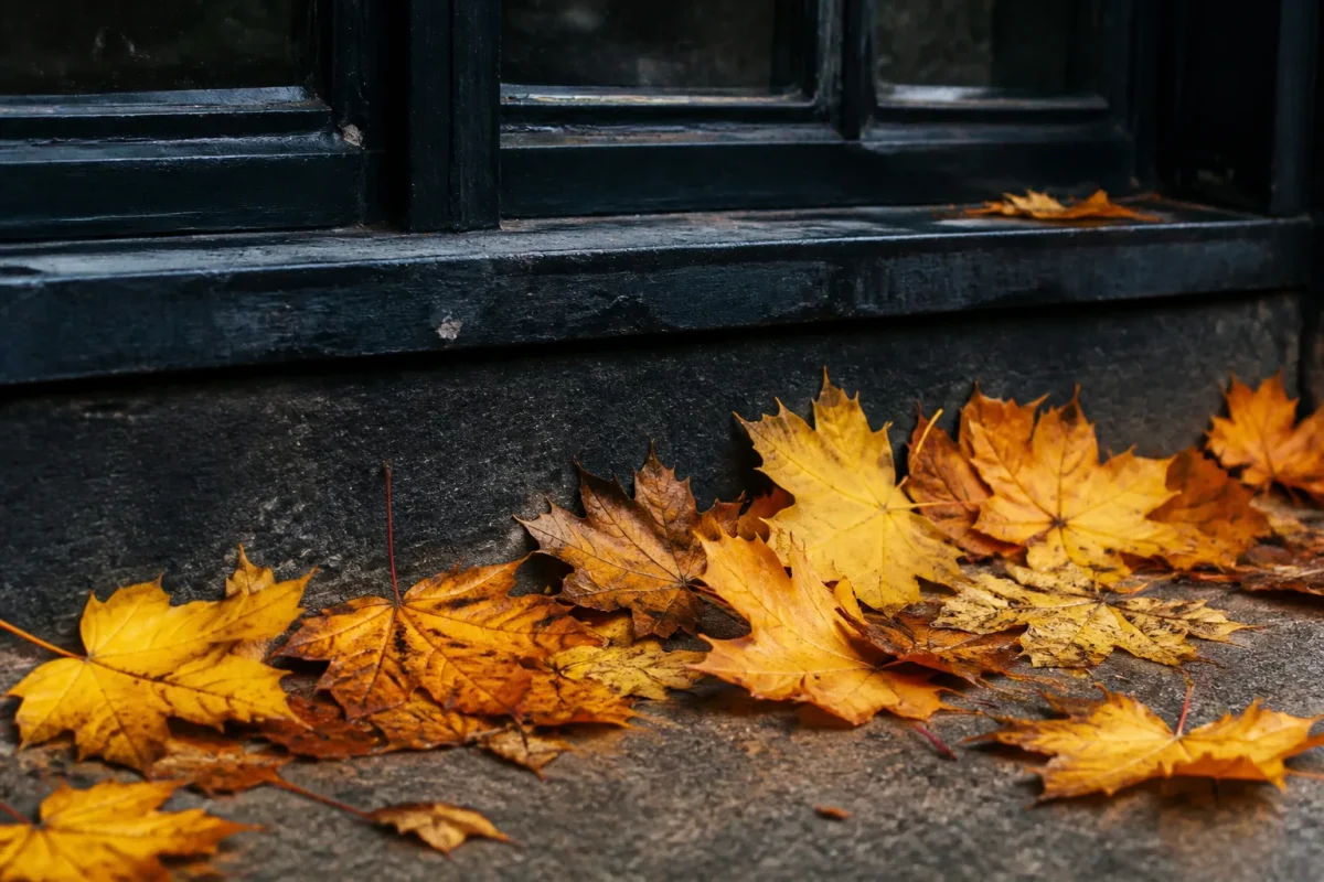 Feuilles jaunes tombees au sol pres fenetre sombre