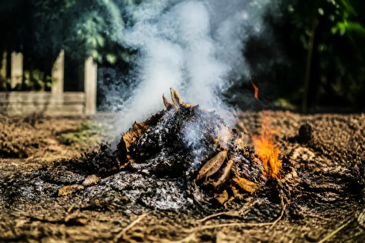 Tas de feuilles mortes brulees avec fumee toxique