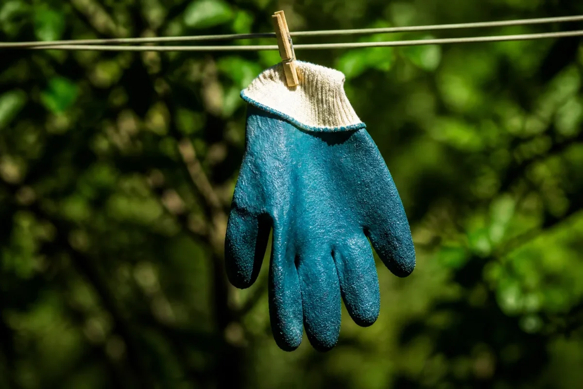Gant humide etendu suspendu pour secher