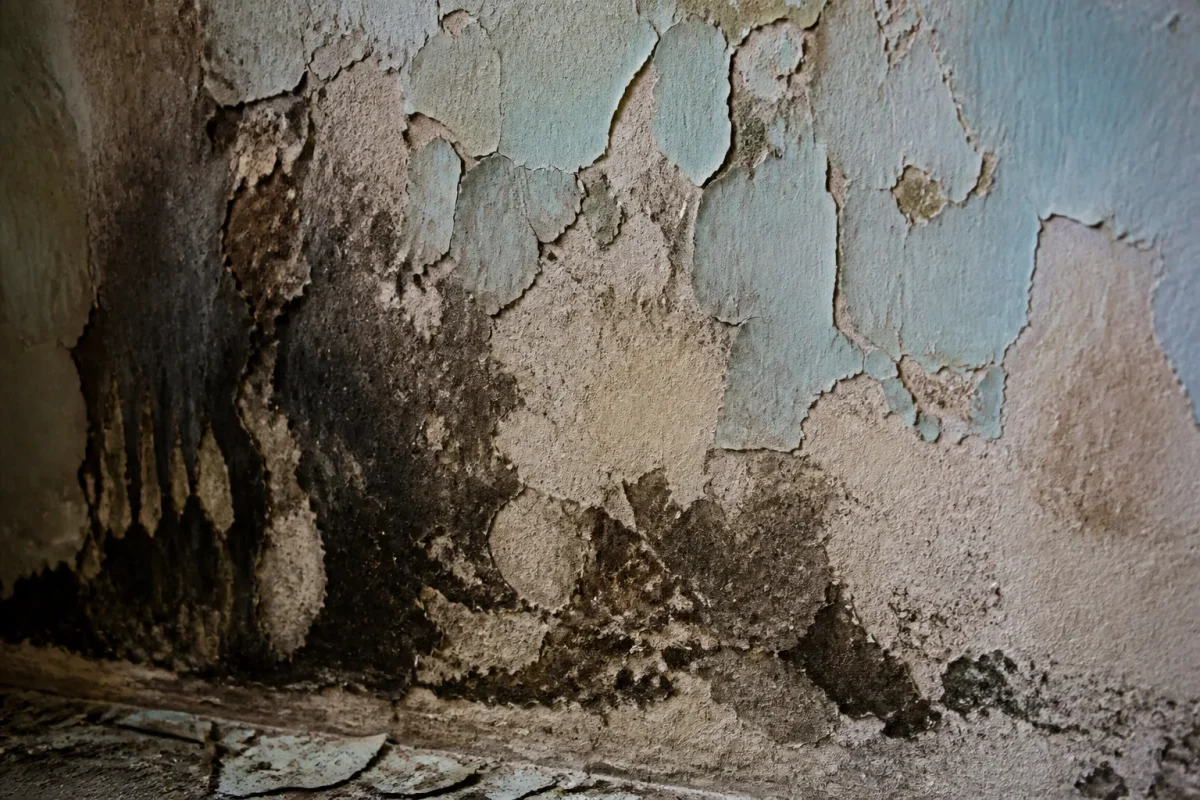 Mur humide avec tache sombre et peinture ecaillee