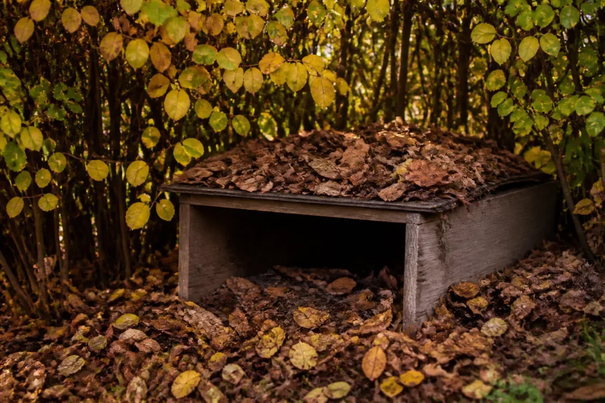 Abri en bois couvert de feuilles sous une haie