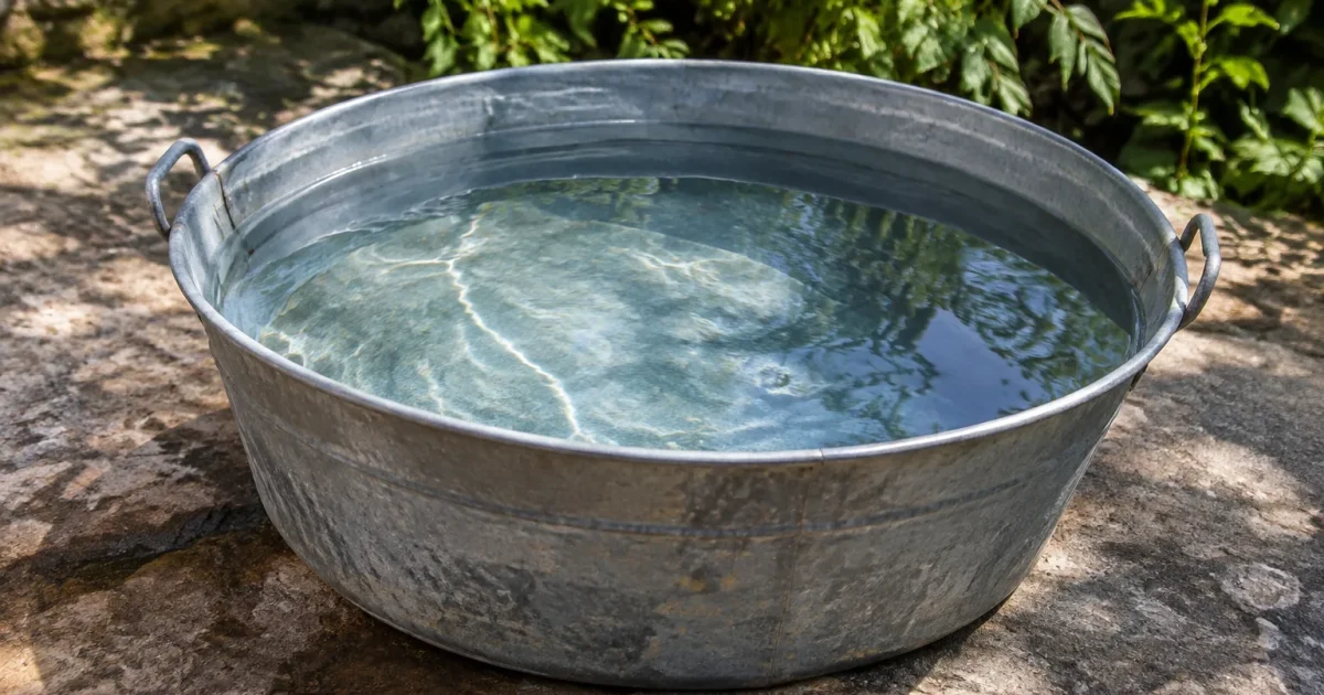 Bassine remplie d eau posee au sol