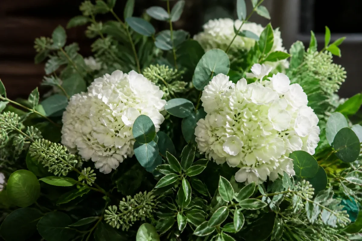 Bouquets plats blanc creme se detachant sur feuillage vert