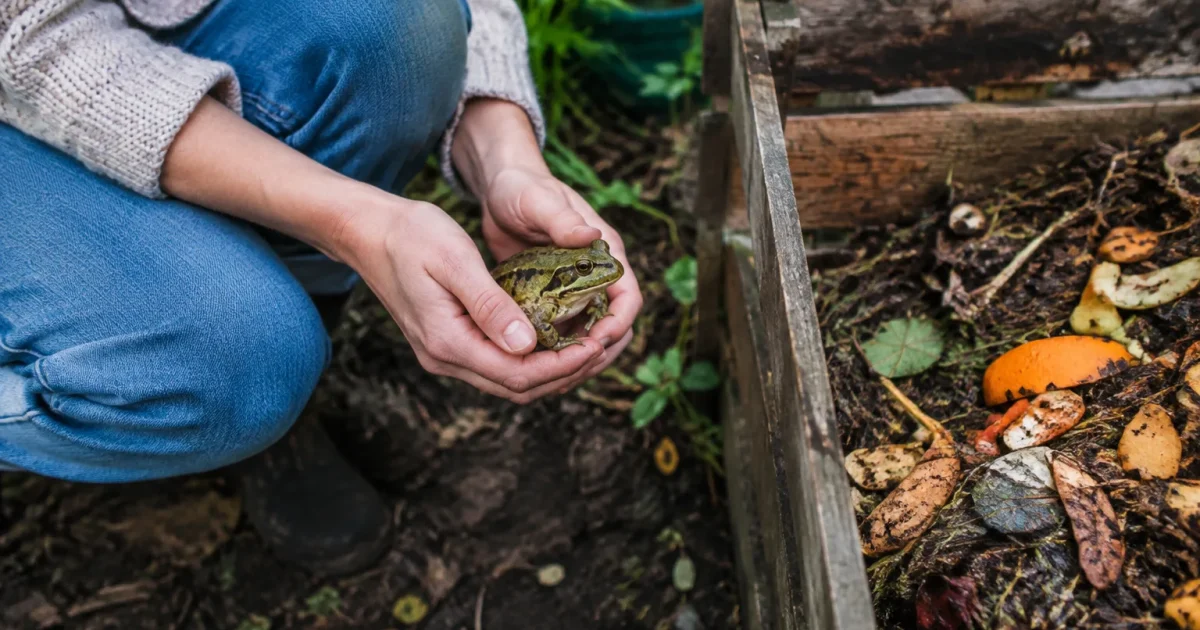 Femme accroupie tenant une grenouille pres du compost