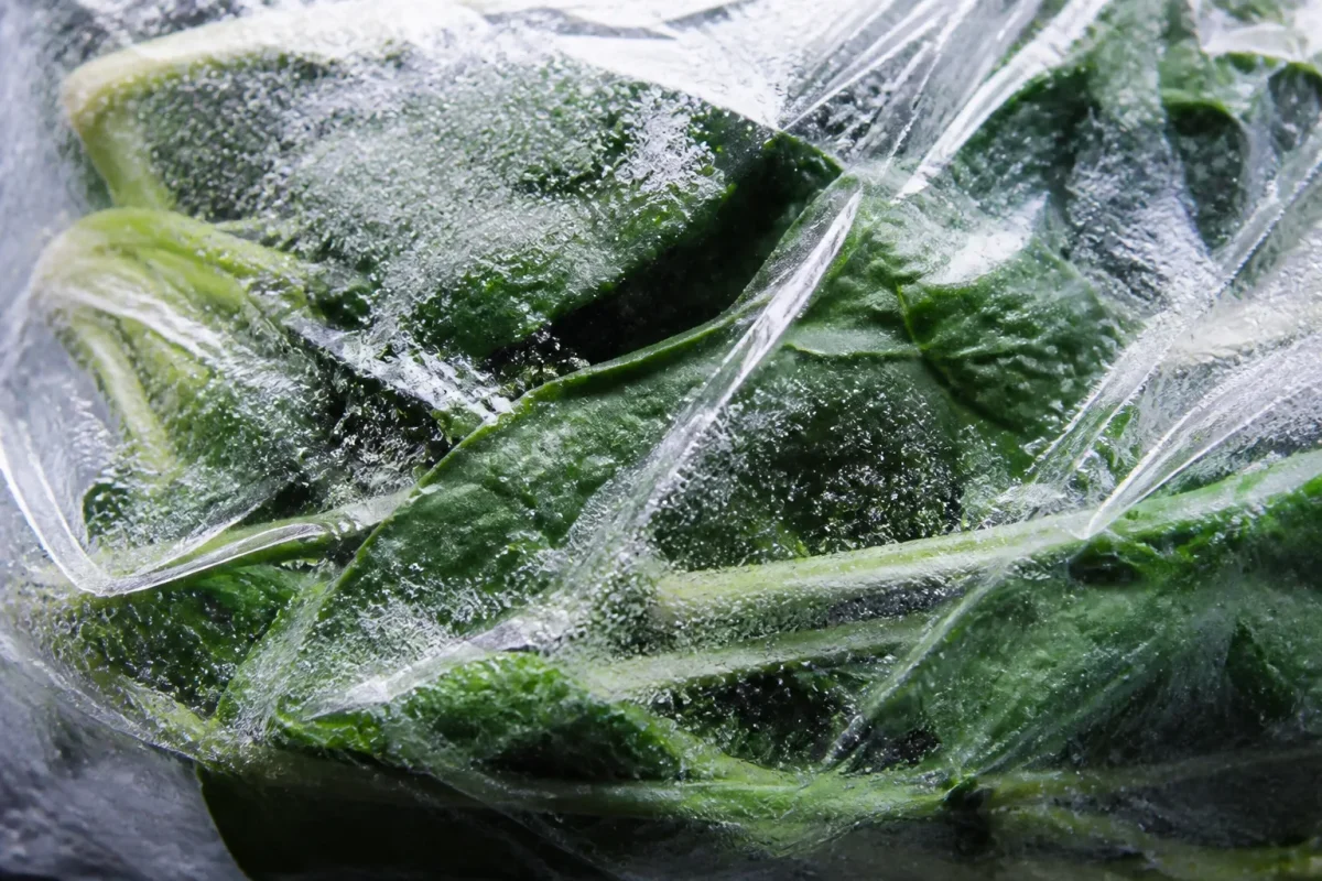 Feuilles gelees sous film plastique avec condensation