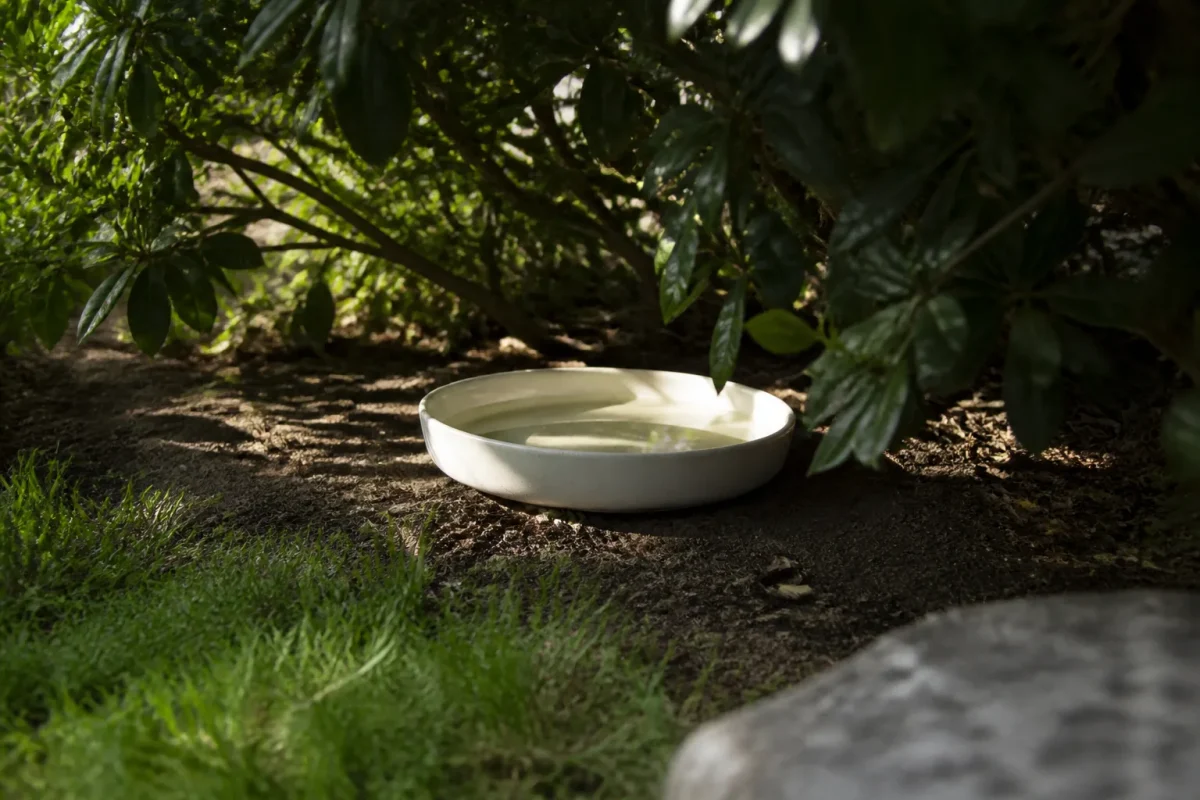 Gamelle claire peu profonde posee dans l'ombre d'un jardin