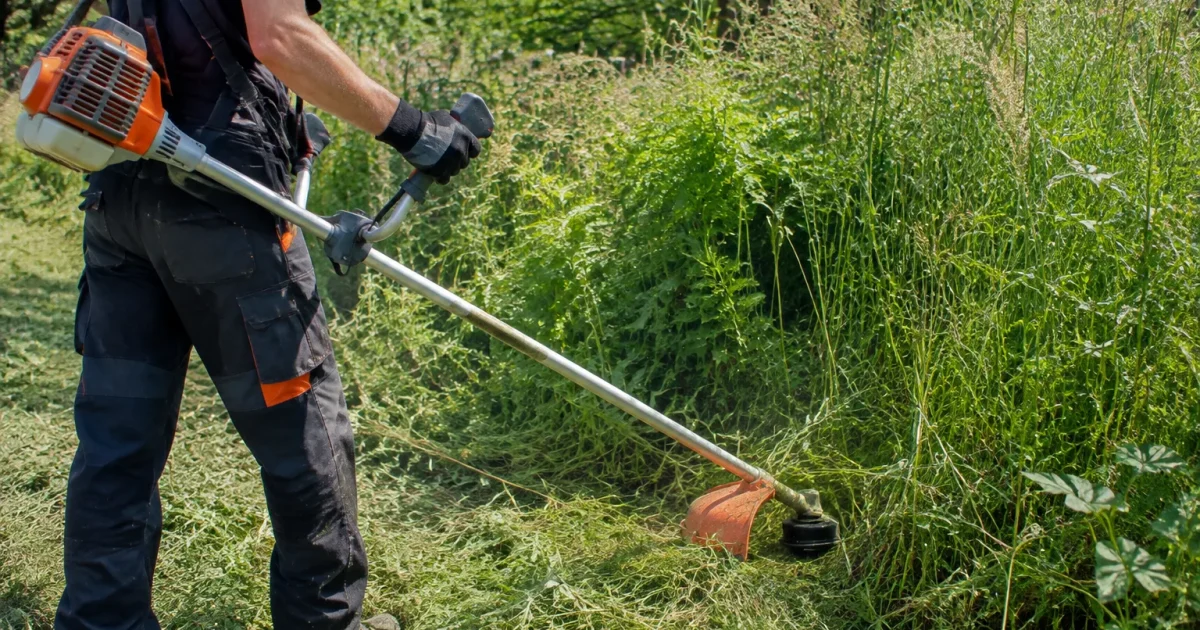 Homme tenant une debroussailleuse au ras de hautes herbes