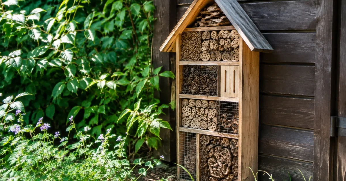 Hotel en bois a insectes pose contre un cabanon