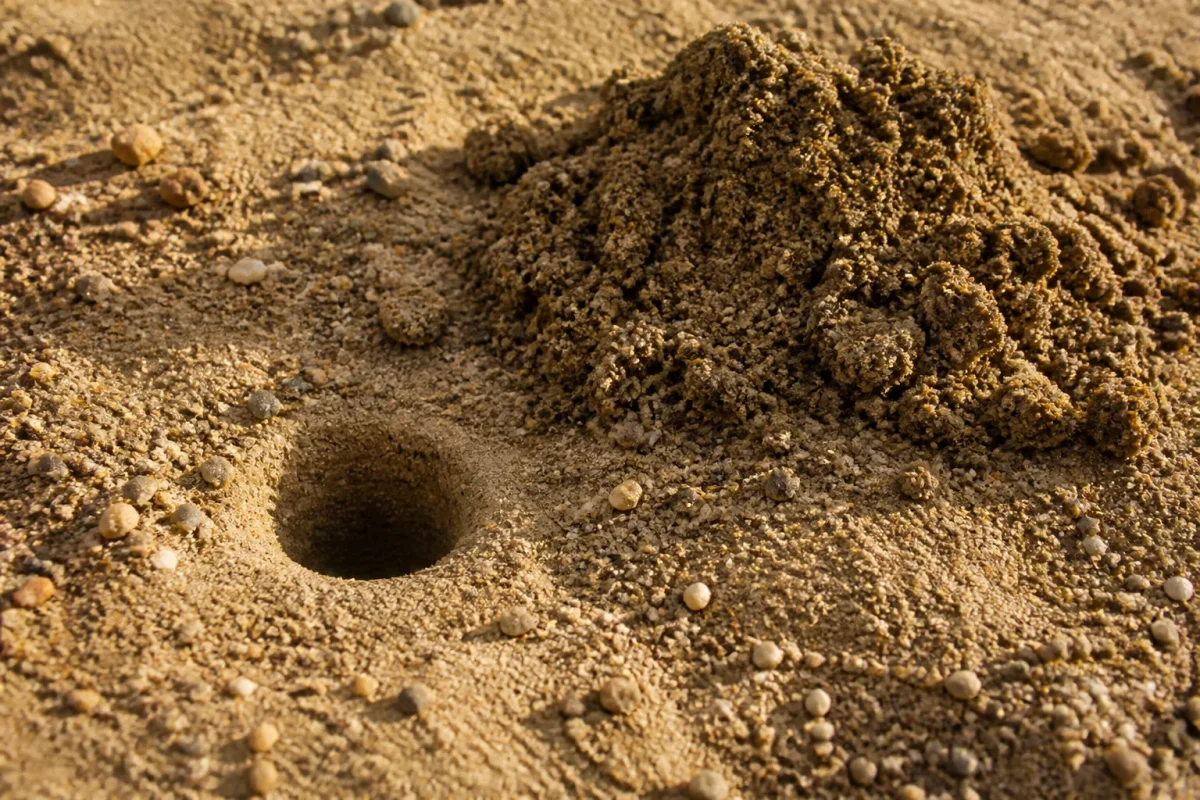 Monticule de terre et petit trou dans le sable
