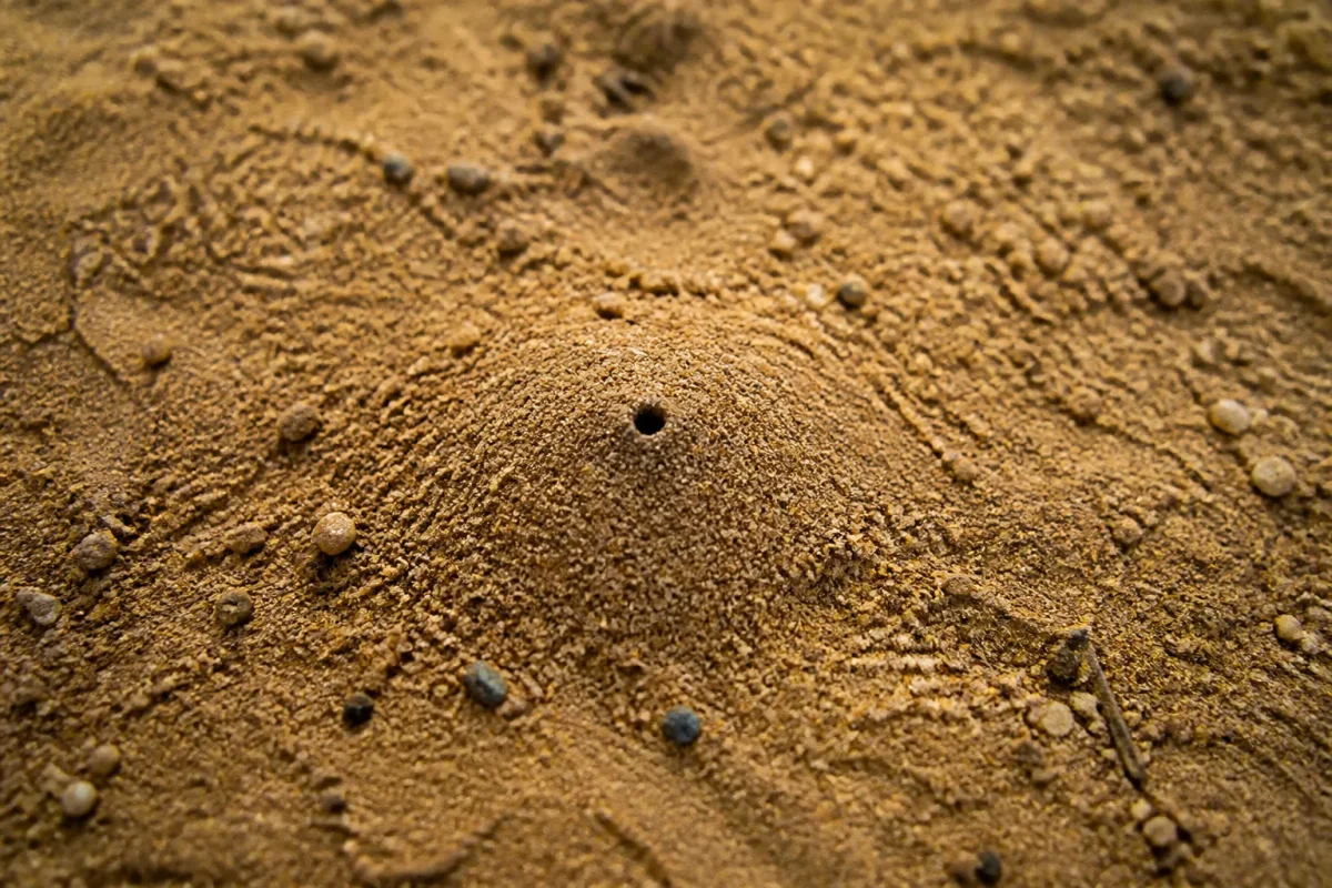 Petit trou dans sable sec, minuscule volcan de terre