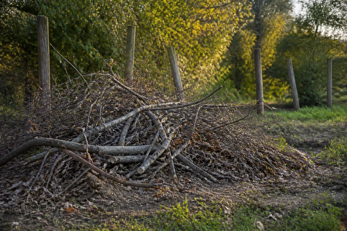 Pile de branches instable au sol, piquets espaces