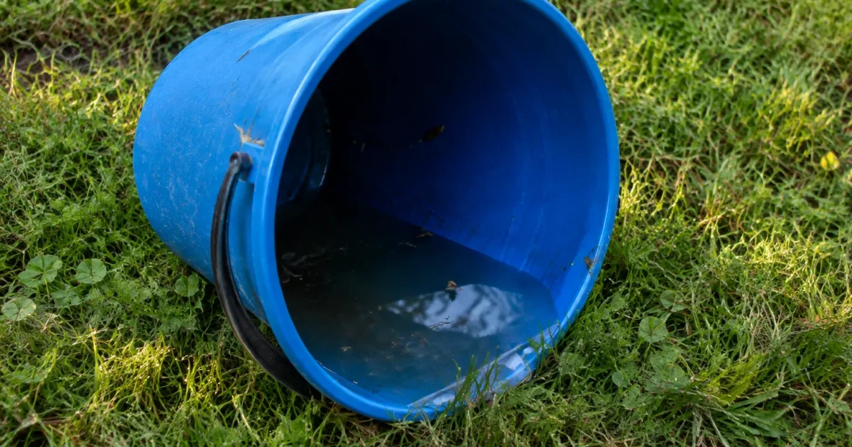 Seau bleu couche sur herbe contenant eau stagnante