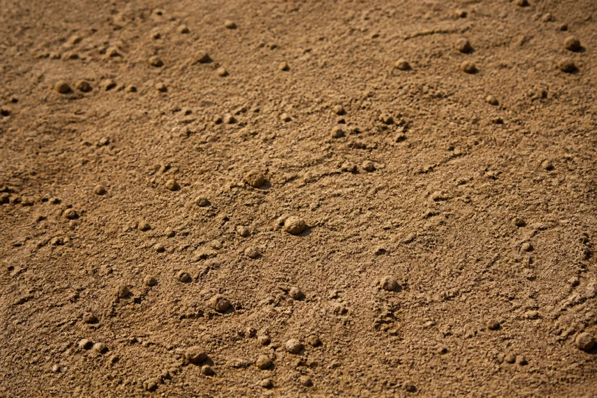 Sol brun nu et fin avec quelques petites mottes
